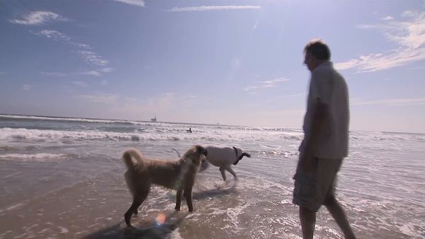 El encantador de perros - Bacchus and Jody