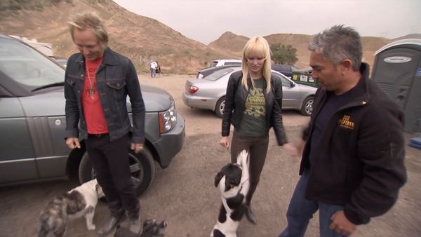 El encantador de perros - Mad Dogs: Mafia, Jack & Raspberry, Grady, Boo & Khia