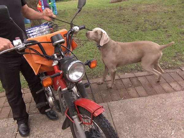 El encantador de perros - The Dog Whisperer: Cesar Down Under Special 02