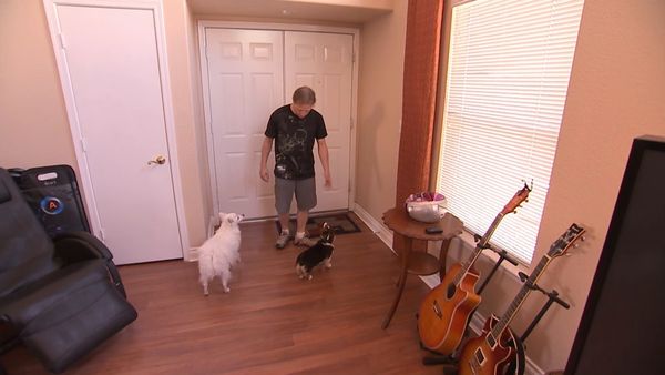 El encantador de perros - Cesar Goes to Vegas