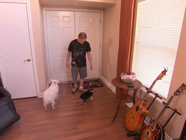 El encantador de perros - Cesar Goes to Vegas