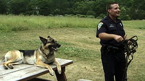 Dogs with Jobs - Episode 2: Bruno: An American Police Dog & Honey: Companion Dog