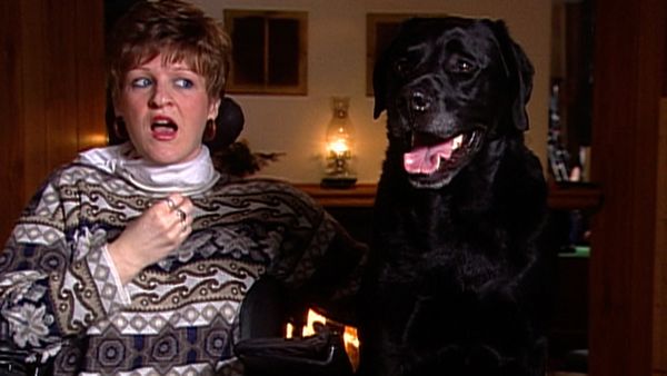 Dogs with Jobs - Episode 26: Johnny and the Sled Dogs, Bozo: Assistance Dog & Flip-Flop Surfer