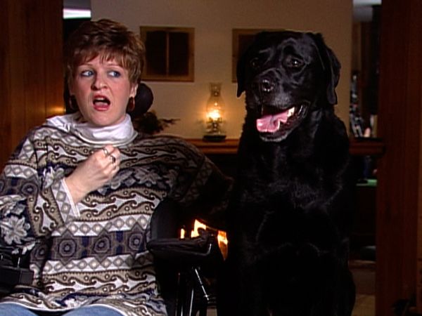 Dogs with Jobs - Episode 26: Johnny and the Sled Dogs, Bozo: Assistance Dog & Flip-Flop Surfer