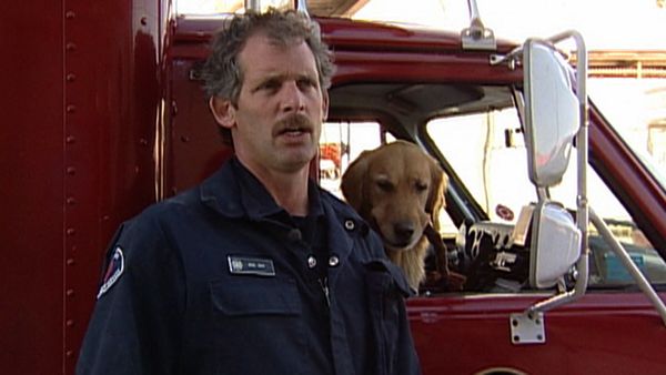 Dogs with Jobs - Episode 17: Tokkolos: Big Cat Parent, Barkley: Disaster Dog & Rookie: Beagle Brigade