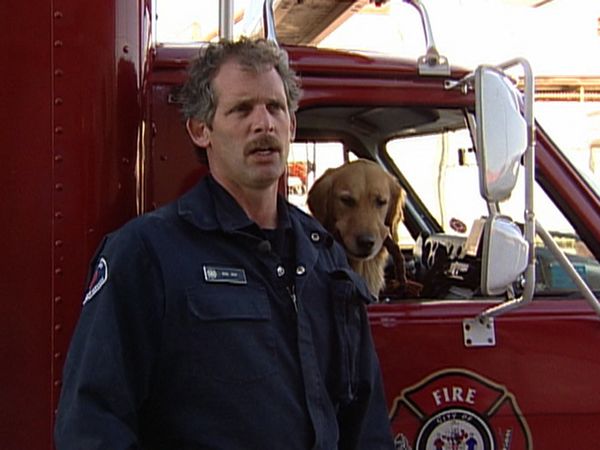 Dogs with Jobs - Episode 17: Tokkolos: Big Cat Parent, Barkley: Disaster Dog & Rookie: Beagle Brigade