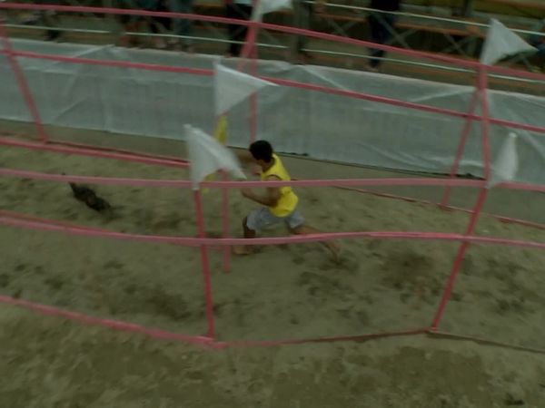 Torneios Brasil - Olímpiada das Galinhas