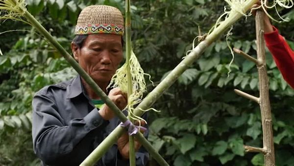 Deadliest Journeys - Borneo