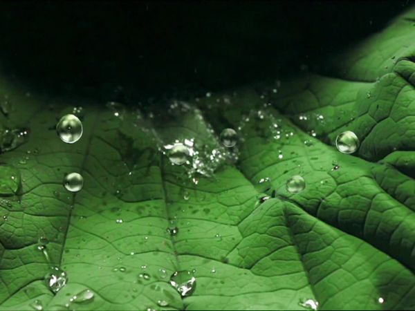 Nature Tech - Magia del Movimiento