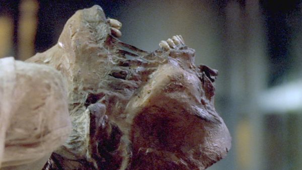 Waking the Dead: Series 5 FR - Les Tours du Silence, Partie 1