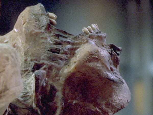 Waking the Dead: Series 5 FR - Les Tours du Silence, Partie 1
