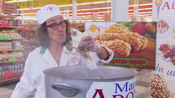 Just for Laughs Gags - Flying Fried Chicken