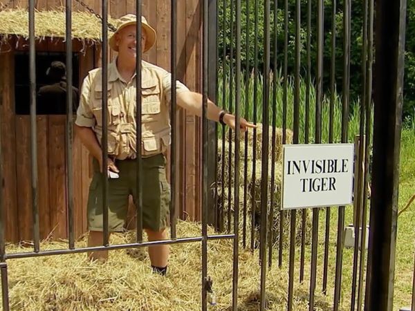 Just for Laughs Gags - Invisible Tiger