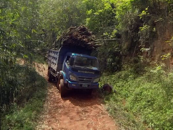 Deadliest Journeys - China's Dragon Road