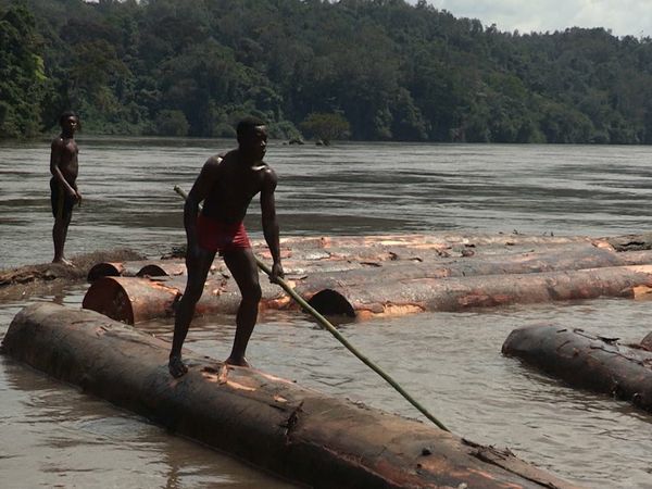 Deadliest Journeys - Gabon