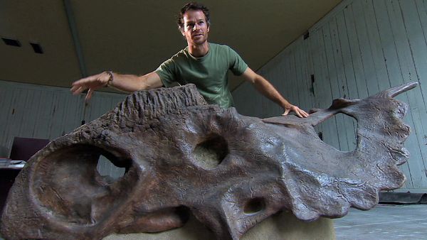 Sur la piste des dinosaures - Épisode 1 : Les mystères des dinosaures à corne