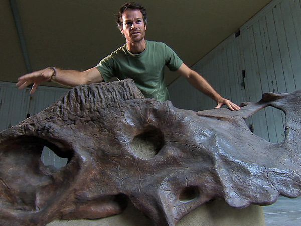 Sur la piste des dinosaures - Épisode 1 : Les mystères des dinosaures à corne