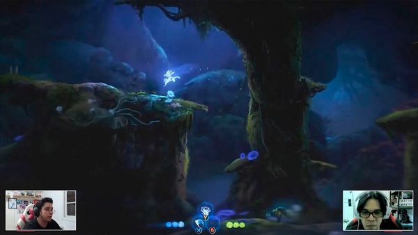Gameplay - Ori and the Will of the Wisps