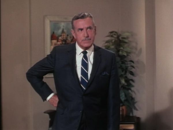 The Beverly Hillbillies - The Courtship Of Homer Noodleman