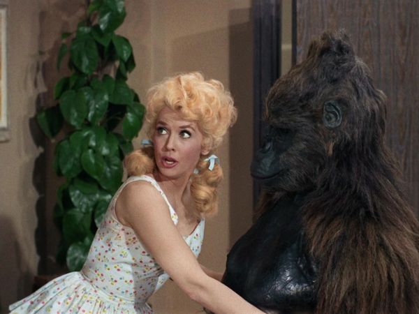The Beverly Hillbillies - Come Back Little Herby