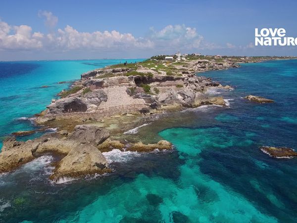A Praia Viva - México