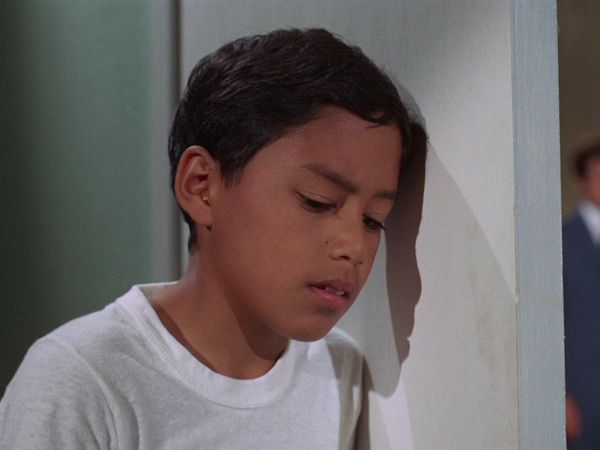 Hawaii Five-0 - Paniolo