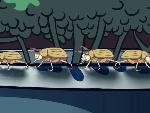Im A Creepy Crawly - Episodio 4
