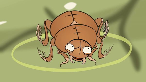 Im A Creepy Crawly - Episodio 5