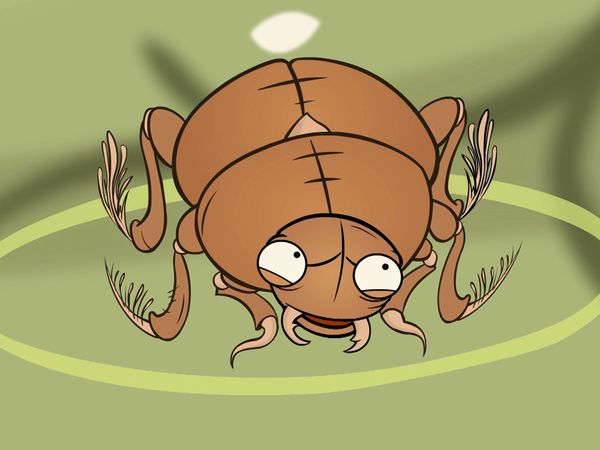 Im A Creepy Crawly - Episodio 5