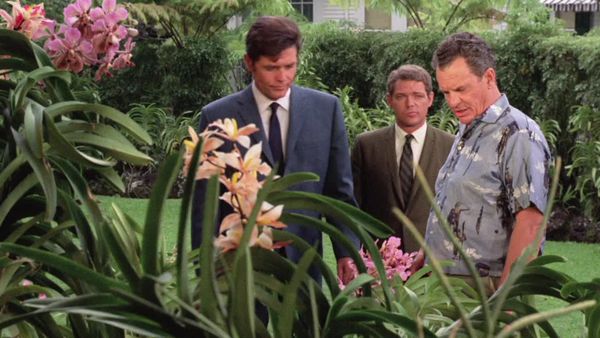 Hawaii Five-0 - All The King's Horses