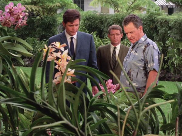 Hawaii Five-0 - All The King's Horses