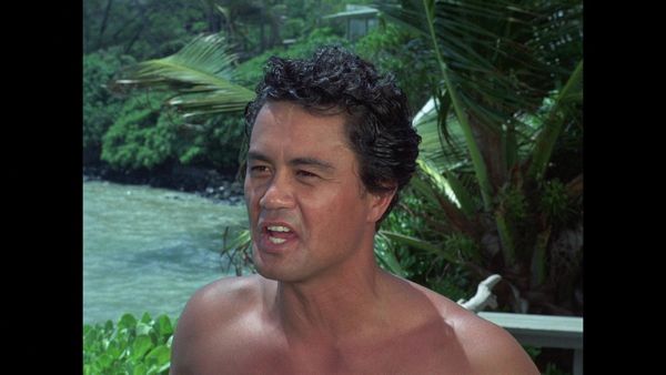 Hawaii Five-0 - The Joker's Wild, Man, Wild