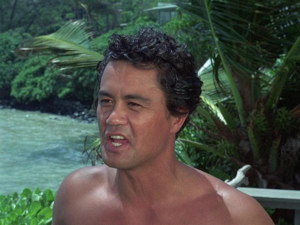 Hawaii Five-0 - The Joker's Wild, Man, Wild
