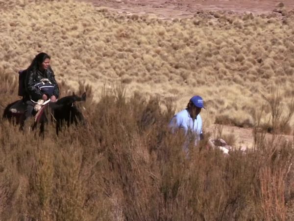 Deadliest Journeys - Argentina