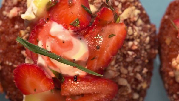 Donut Showdown - La vie sous-marine