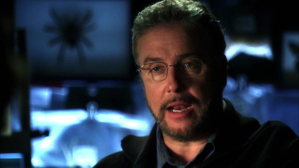 CSI - Spellbound