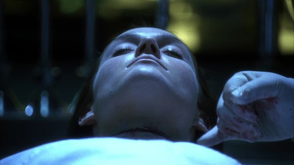 CSI - Butterflied