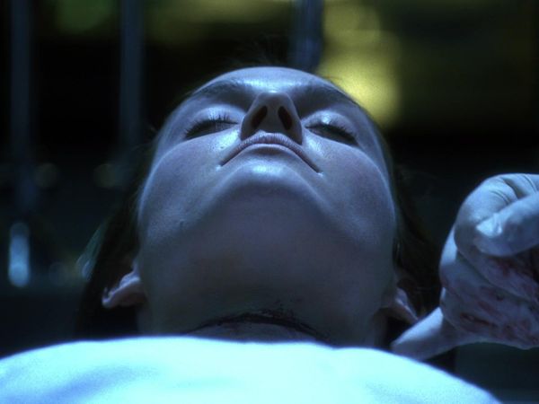 CSI - Butterflied