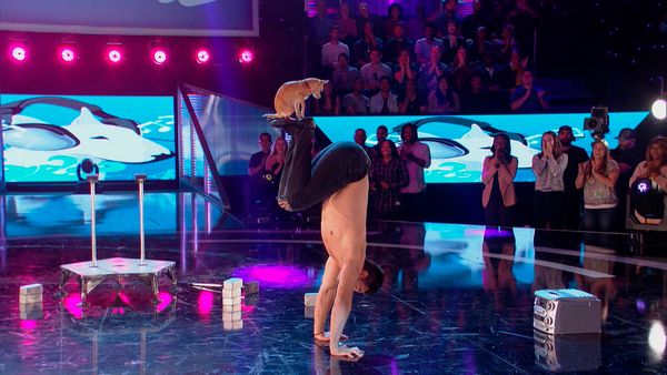 MTV ¡Alucinantes! - Episodio 102
