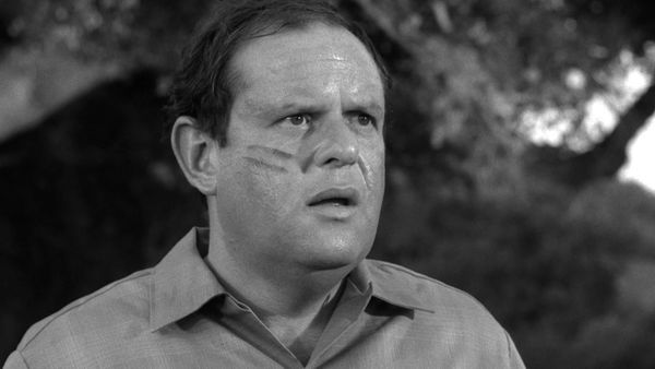 The Fugitive - Fatso
