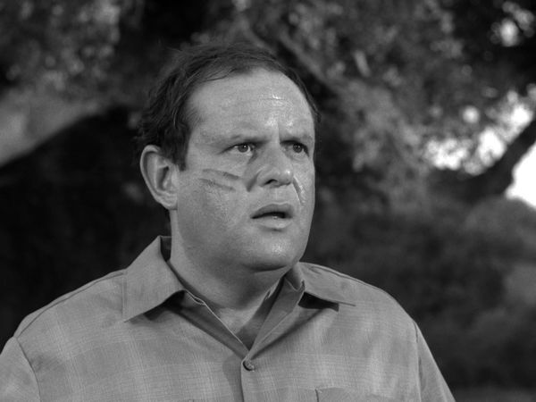 The Fugitive - Fatso