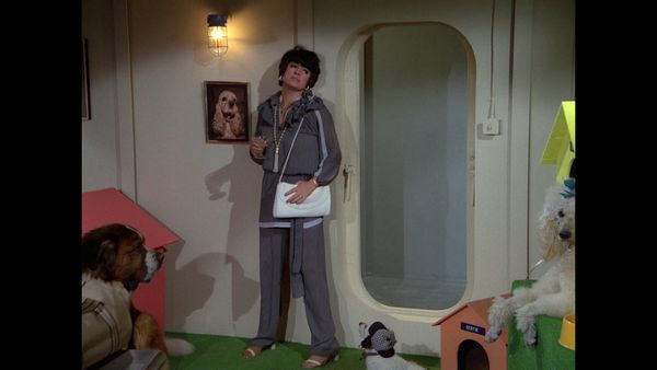 The Love Boat - Going To The Dogs / Women'S Best Friend / Whose Dog Is It Anyway?