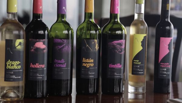 Wineman - Las Islas Canarias