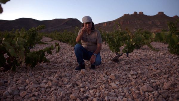 Wineman - Jumilla - Parte 2