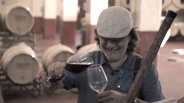 Wineman - Cariñena