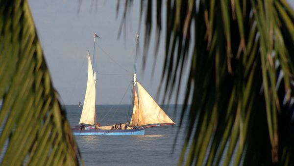 Mejores lugares del mundo - Madagascar