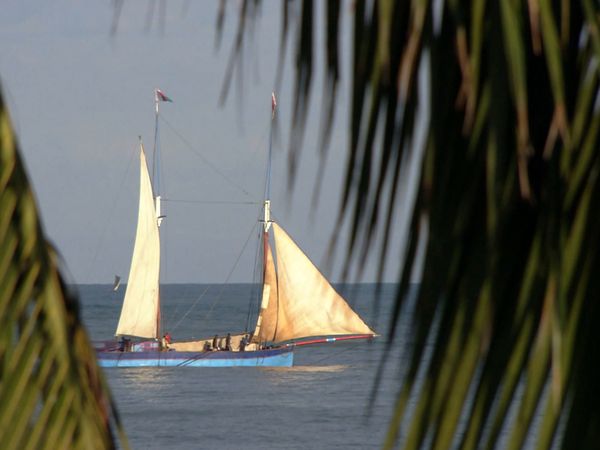Mejores lugares del mundo - Madagascar