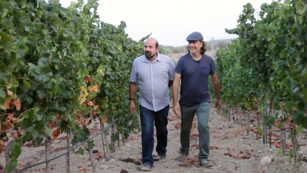 Wineman - Aragón