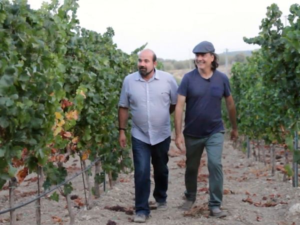 Wineman - Aragón