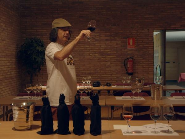 Wineman - Navarra